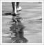   carte-blanche