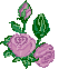   La Fleur