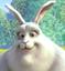   Big Bunny