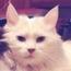   Choupinou